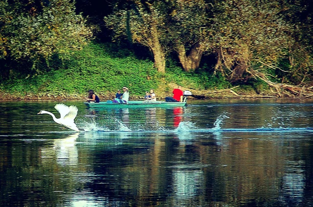 Zagreb, Kuca Za Odmor Swan River Holiday House Lasinja Luaran gambar