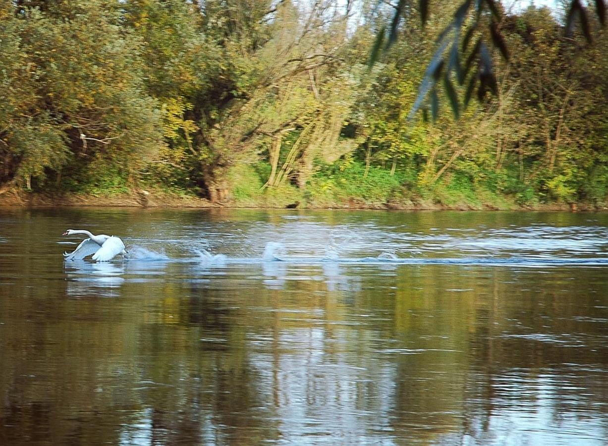 Zagreb, Kuca Za Odmor Swan River Holiday House Lasinja Luaran gambar