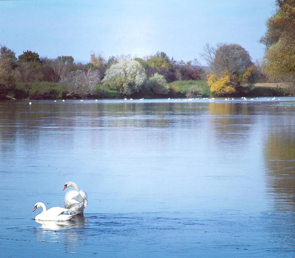 Zagreb, Kuca Za Odmor Swan River Holiday House Lasinja Luaran gambar